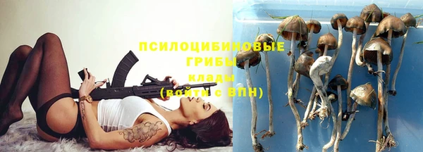 молекула духа Зерноград