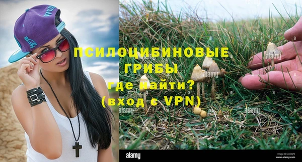 прущие крисы Зеленокумск